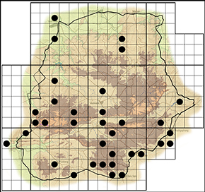 Catopsilia florella Waterberg distribution